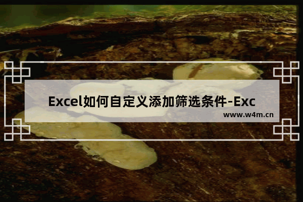 Excel如何自定义添加筛选条件-Excel自定义添加筛选条件的方法