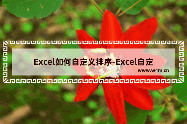 Excel如何自定义排序-Excel自定义排序的方法