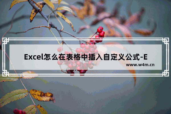 Excel怎么在表格中插入自定义公式-Excel在表格中插入自定义公式的方法