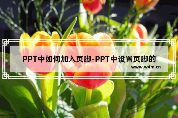 PPT中如何加入页脚-PPT中设置页脚的方法教程