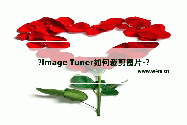 ?Image Tuner如何裁剪图片-?Image Tuner调整图片大小的方法