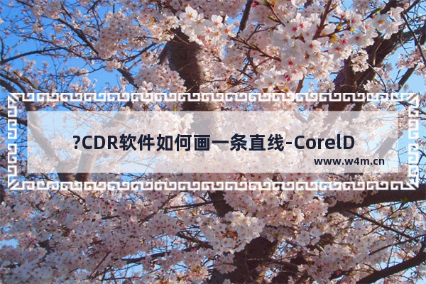 ?CDR软件如何画一条直线-CorelDRAW中绘制直线的方法教程