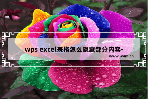 wps excel表格怎么隐藏部分内容-wps excel将不需要的表格部分内容隐藏起来的方法教程