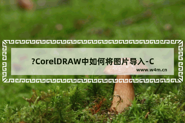 ?CorelDRAW中如何将图片导入-CDR软件导入图片的方法教程