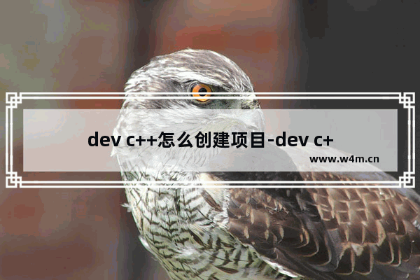 dev c++怎么创建项目-dev c++创建C++项目的方法