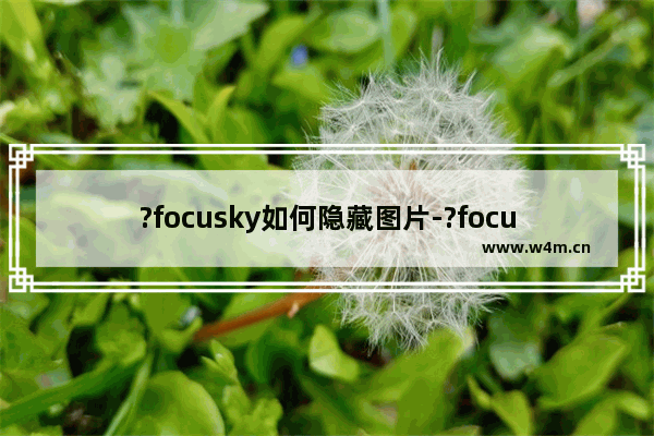 ?focusky如何隐藏图片-?focusky隐藏幻灯片部分内容的方法