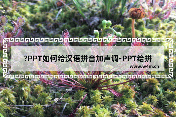 ?PPT如何给汉语拼音加声调-PPT给拼音打上声调的方法教程