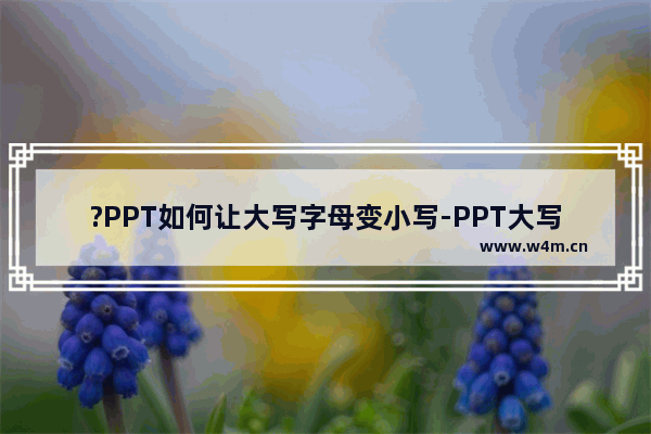 ?PPT如何让大写字母变小写-PPT大写字母转小写字母的方法教程