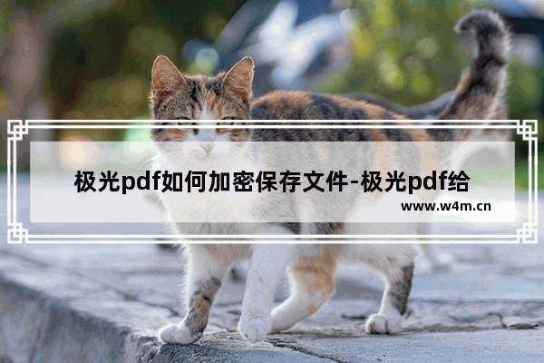 极光pdf如何加密保存文件-极光pdf给文件设置密码的方法