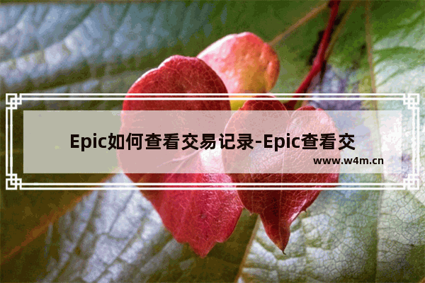 Epic如何查看交易记录-Epic查看交易记录的方法