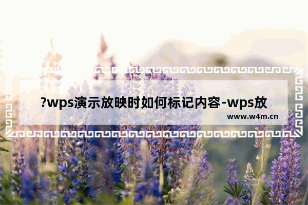 ?wps演示放映时如何标记内容-wps放映ppt时用画笔标记重要内容的方法