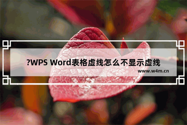 ?WPS Word表格虚线怎么不显示虚线-WPS文档解决表格不显示虚线效果的方法教程