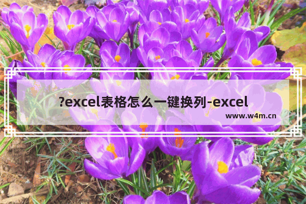 ?excel表格怎么一键换列-excel表格让列与列互换的方法