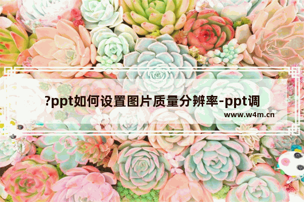 ?ppt如何设置图片质量分辨率-ppt调整图片默认输出设置的方法