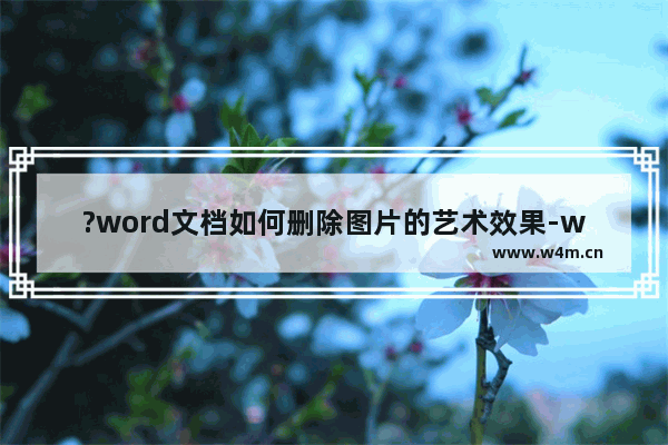 ?word文档如何删除图片的艺术效果-word文档使用重设图片去除图片艺术效果的方法