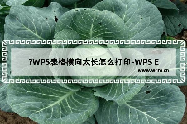 ?WPS表格横向太长怎么打印-WPS Excel进行横向打印的方法教程