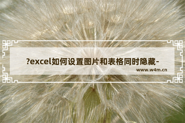 ?excel如何设置图片和表格同时隐藏-excel表格中的图片跟随列一起隐藏的方法