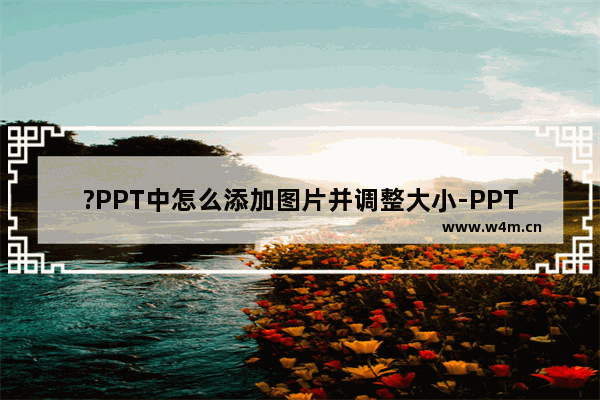 ?PPT中怎么添加图片并调整大小-PPT中插入图片并调整大小的方法教程