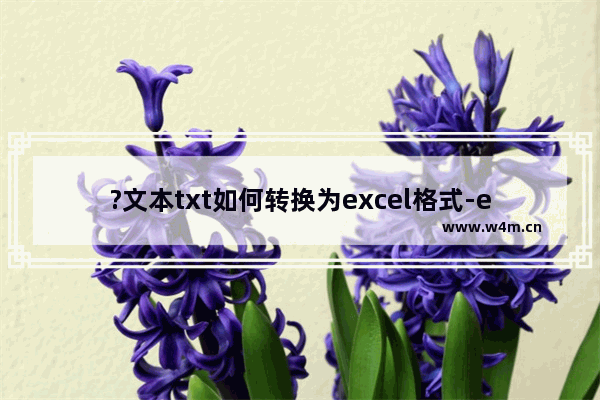 ?文本txt如何转换为excel格式-excel表格导入txt文本数据的方法