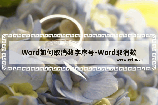 Word如何取消数字序号-Word取消数字序号的方法