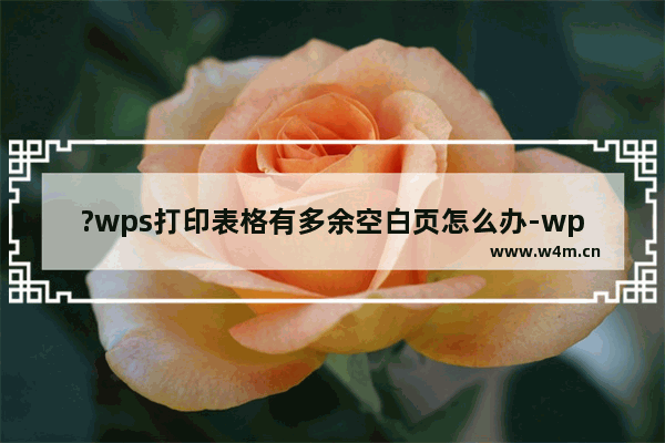 ?wps打印表格有多余空白页怎么办-wps打印表格时删除多余空白页的方法