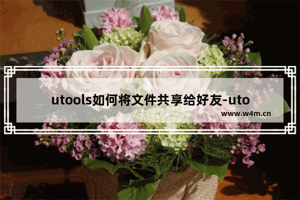 utools如何将文件共享给好友-utools软件开启文件共享的方法