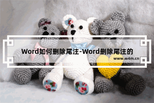 Word如何删除尾注-Word删除尾注的方法