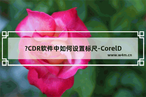 ?CDR软件中如何设置标尺-CorelDRAW中调出标尺的方法教程