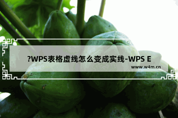 ?WPS表格虚线怎么变成实线-WPS Excel将虚框变成实框的方法教程