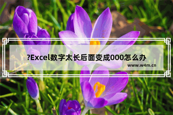 ?Excel数字太长后面变成000怎么办-Excel表格解决长串数字后面变成000的方法教程