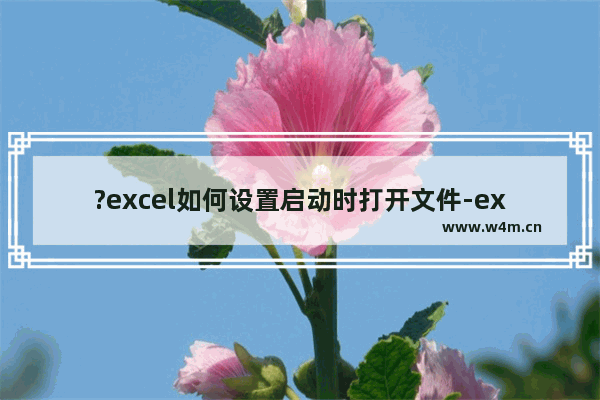 ?excel如何设置启动时打开文件-excel启动时自动打开文件的设置方法