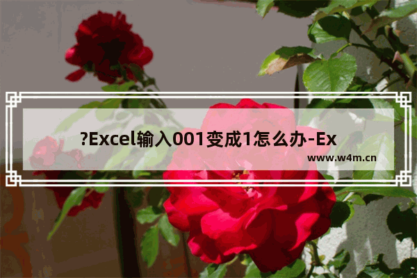 ?Excel输入001变成1怎么办-Excel表格中填写001序号的方法教程