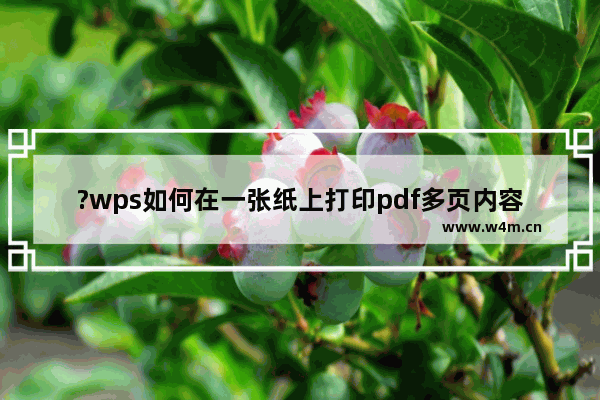 ?wps如何在一张纸上打印pdf多页内容-wps pdf文档设置一张打印多页的方法