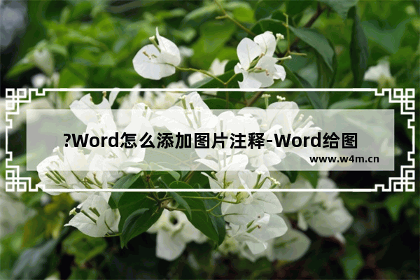 ?Word怎么添加图片注释-Word给图片添加图注的方法教程