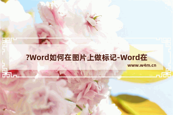 ?Word如何在图片上做标记-Word在图片上添加标注的方法教程