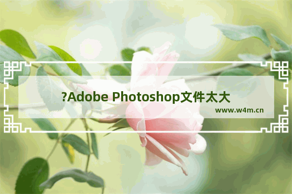 ?Adobe Photoshop文件太大保存不了怎么办-PS解决文件太大无法保存的方法教程