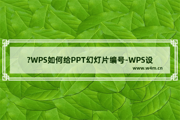 ?WPS如何给PPT幻灯片编号-WPS设置幻灯片编号的方法教程