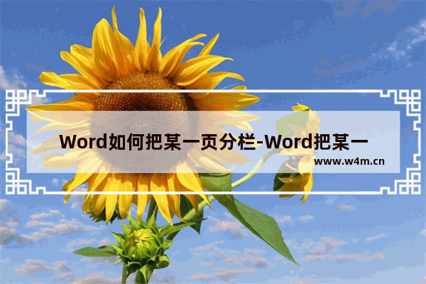 Word如何把某一页分栏-Word把某一页分栏的方法