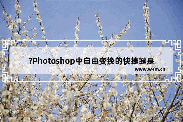 ?Photoshop中自由变换的快捷键是什么-PS软件使用自由变换的快捷键的方法教程