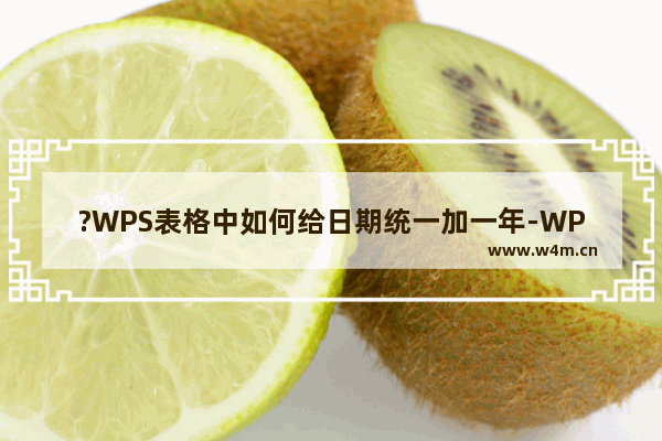 ?WPS表格中如何给日期统一加一年-WPS Excel日期增加一年的方法教程