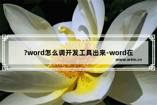 ?word怎么调开发工具出来-word在菜单栏中添加开发者工具的方法