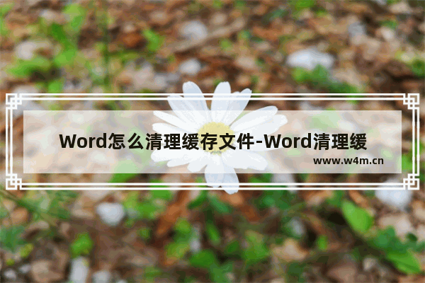 Word怎么清理缓存文件-Word清理缓存文件的方法