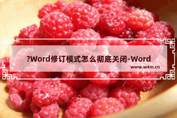 ?Word修订模式怎么彻底关闭-Word文档修订模式变为正常的方法教程