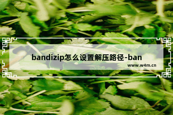 bandizip怎么设置解压路径-bandizip修改解压文件存放路径的方法