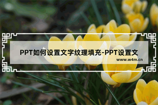 PPT如何设置文字纹理填充-PPT设置文字纹理填充的方法