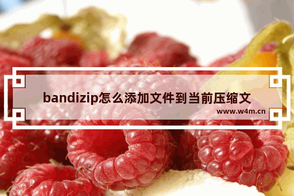 bandizip怎么添加文件到当前压缩文件中-bandizip添加文件到当前压缩文件中的方法