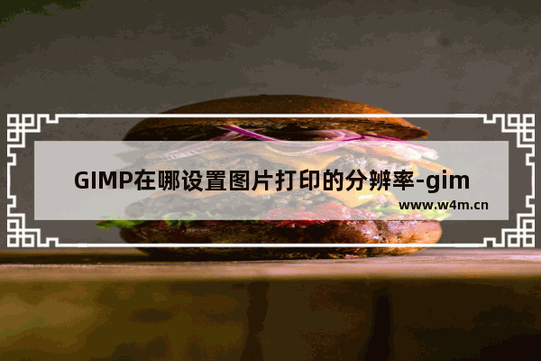 GIMP在哪设置图片打印的分辨率-gimp设置图片打印分辨率的方法