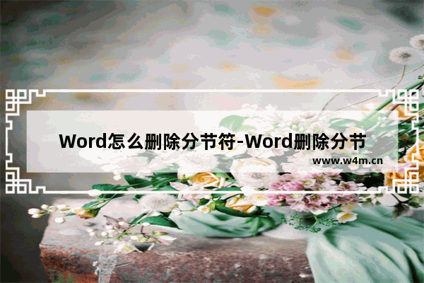 Word怎么删除分节符-Word删除分节符的方法