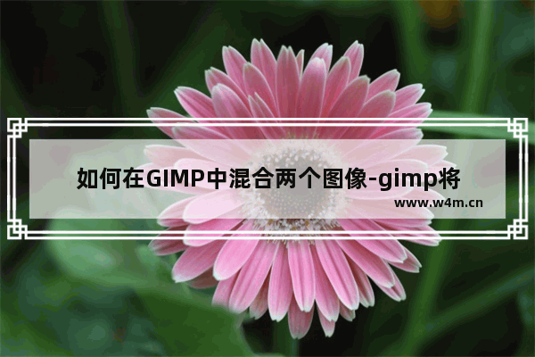 如何在GIMP中混合两个图像-gimp将两张图片合并为一张的方法教程