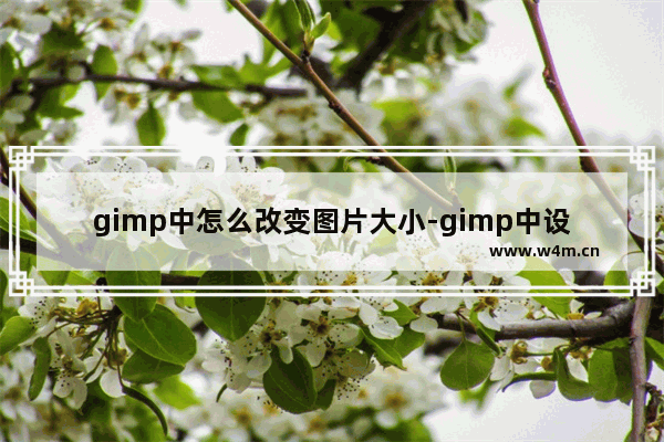 gimp中怎么改变图片大小-gimp中设置压缩图片的方法